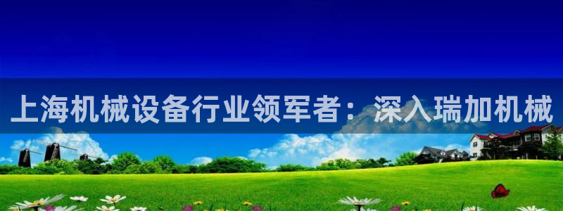 杏盛平台登陆：上海机械设备行业领军者：深入瑞加机械